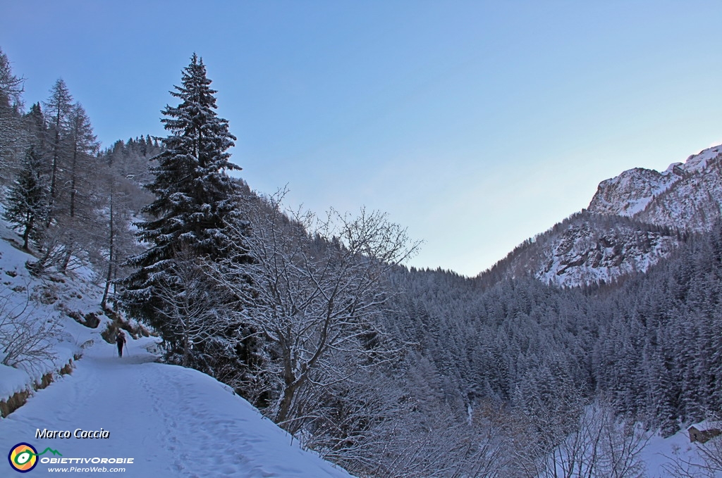 03_La neve sugli abeti.JPG